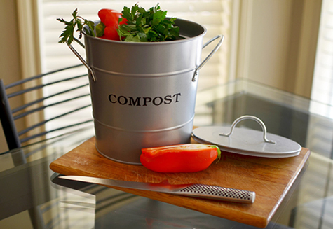 silver 2n1 compost bucke