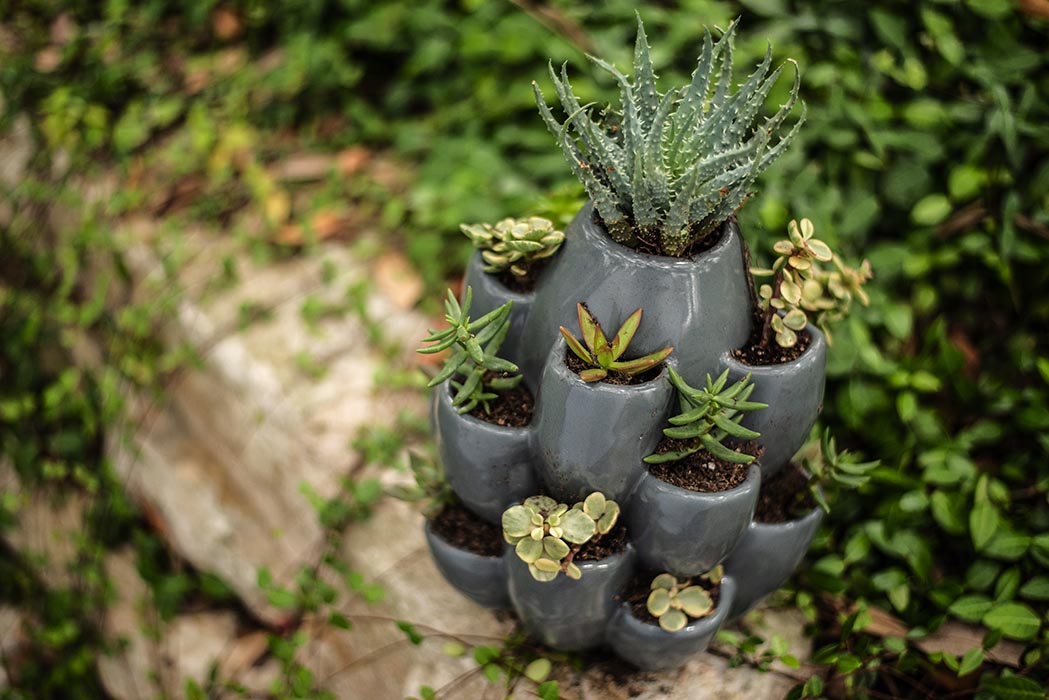 Grey Cacti Pot