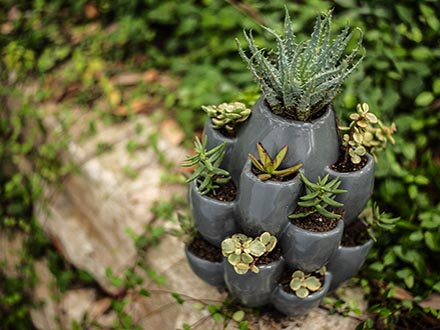 Grey Cacti Pot
