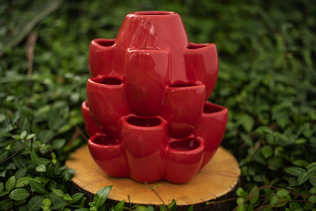 Red Cacti Pot