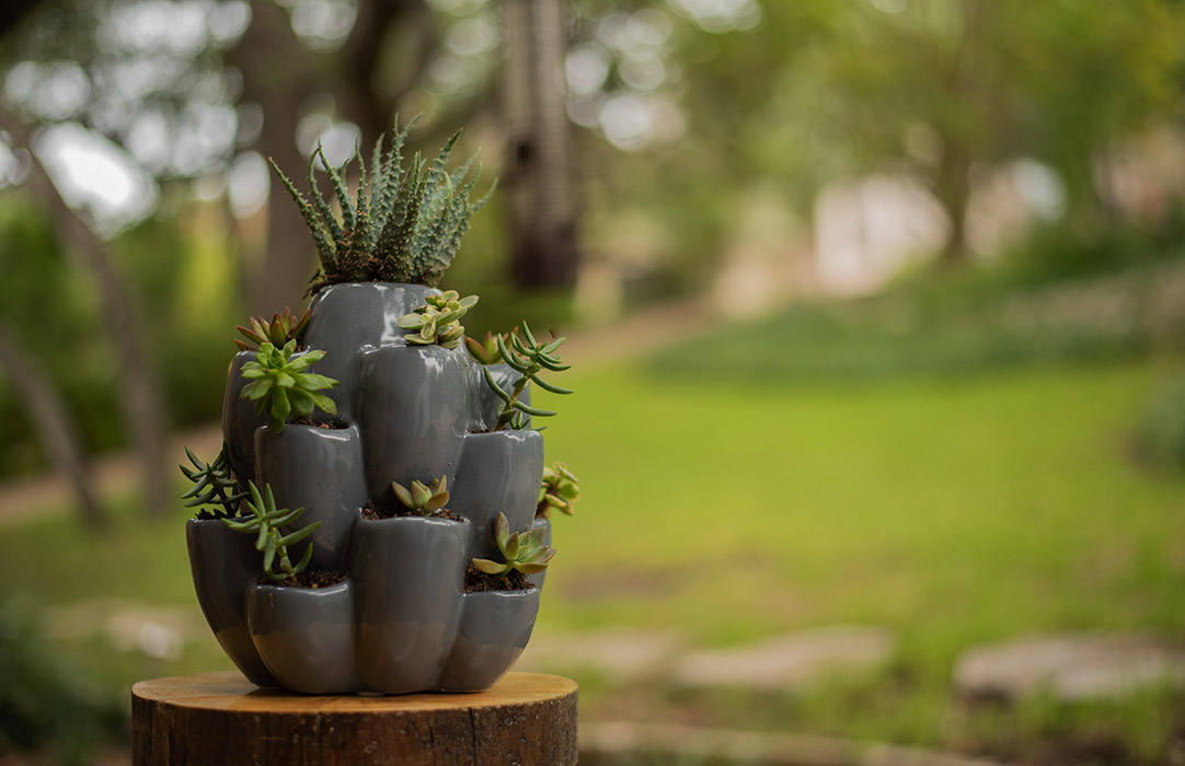 Grey Cacti Pot