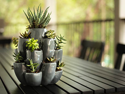 Grey Cacti Pot