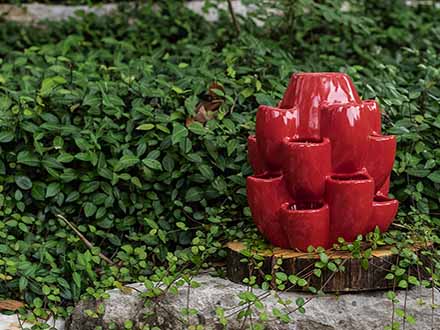 Red Cacti Pot