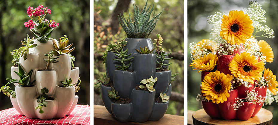 Cacti Pot Ceramic Planter