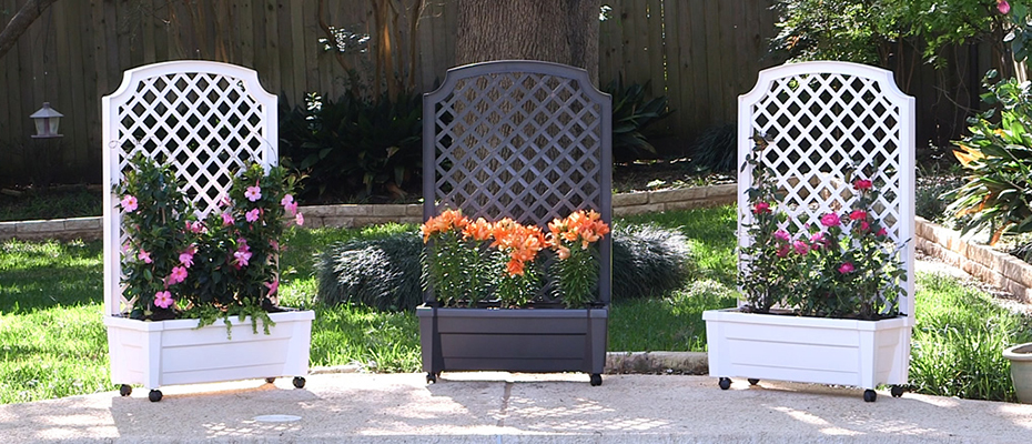 Calypso Trellis Planter with Water Reservoir