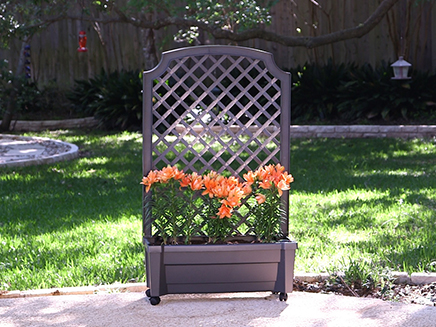 calypso planter image 1