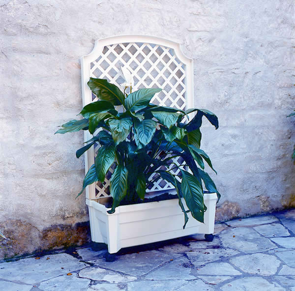 Calypso Planter White 2