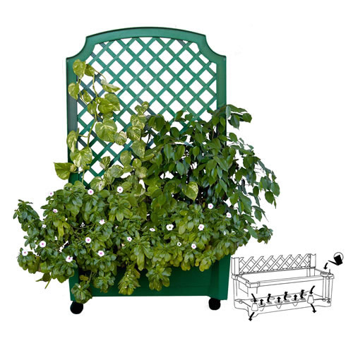 Calypso Planter Metallic Green w. Reservoir Diagram