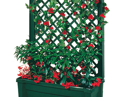 calypso planter image 8