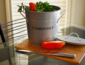 2 in 1 Compost Bucket