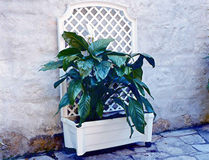 Calypso Planter with Trellis and Reservoir