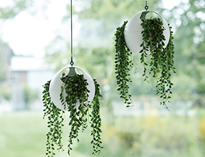 Hanging Euro Planters by Elho