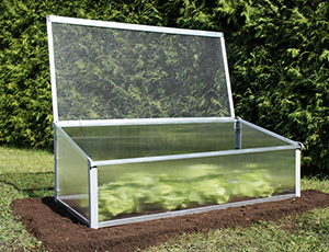 Year Round Cold Frame by Juwel