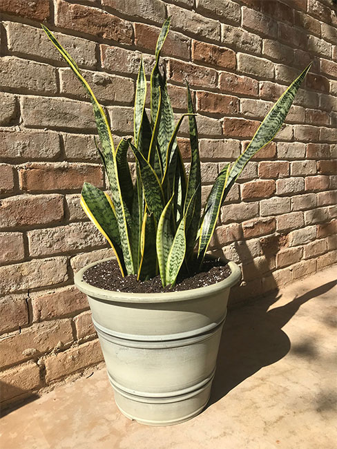 Round Sandstone Planters