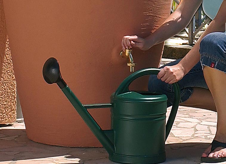 AmphoraTank Rain Barrel