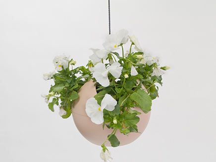 euro hanging planter blush 