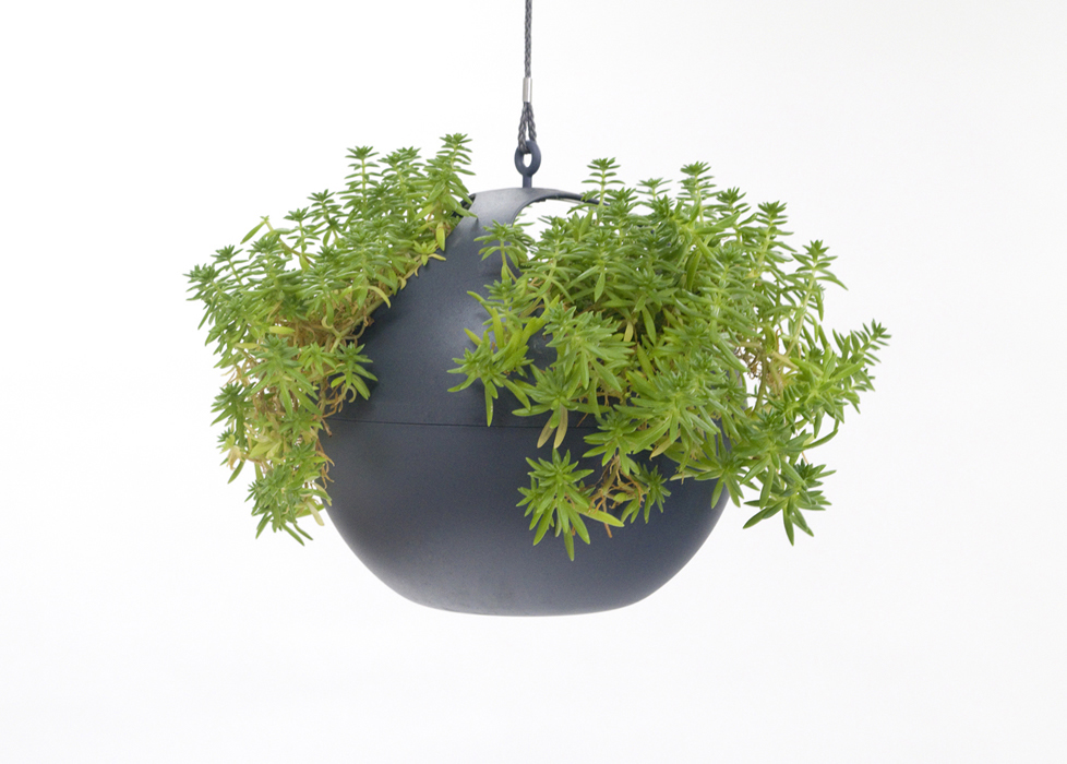 great for all types of plants