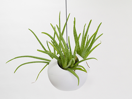 euro hanging planter