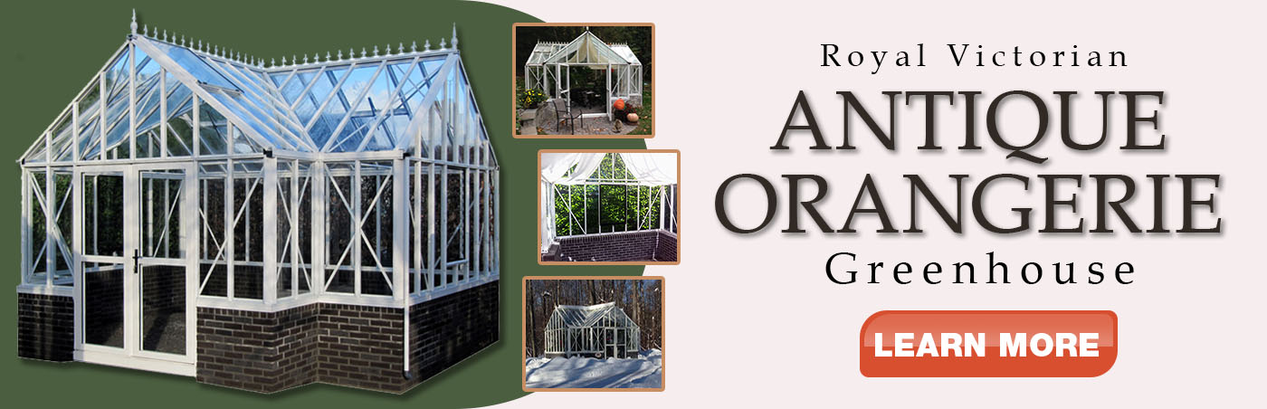 Antique Orangerie Greenhouse