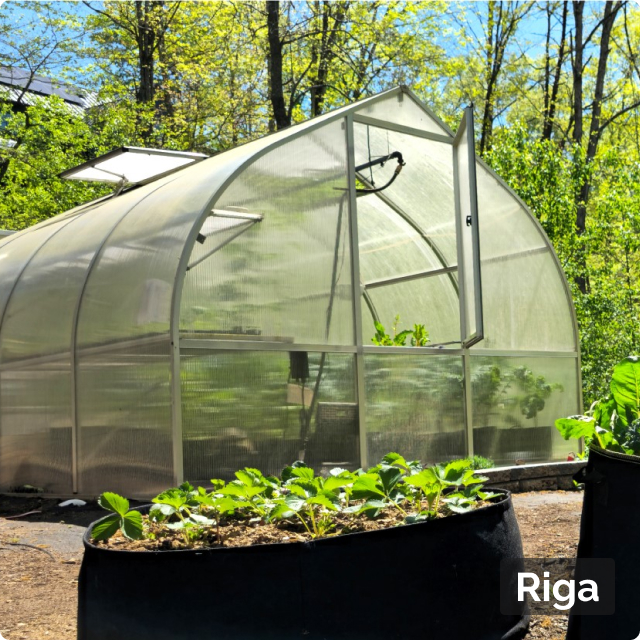 riga greenhouse