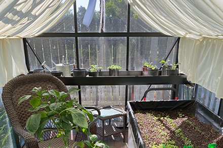 Jr victorian Greenhouse 24