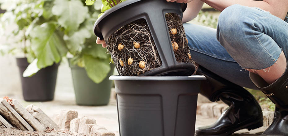 Poraro Pot Planter