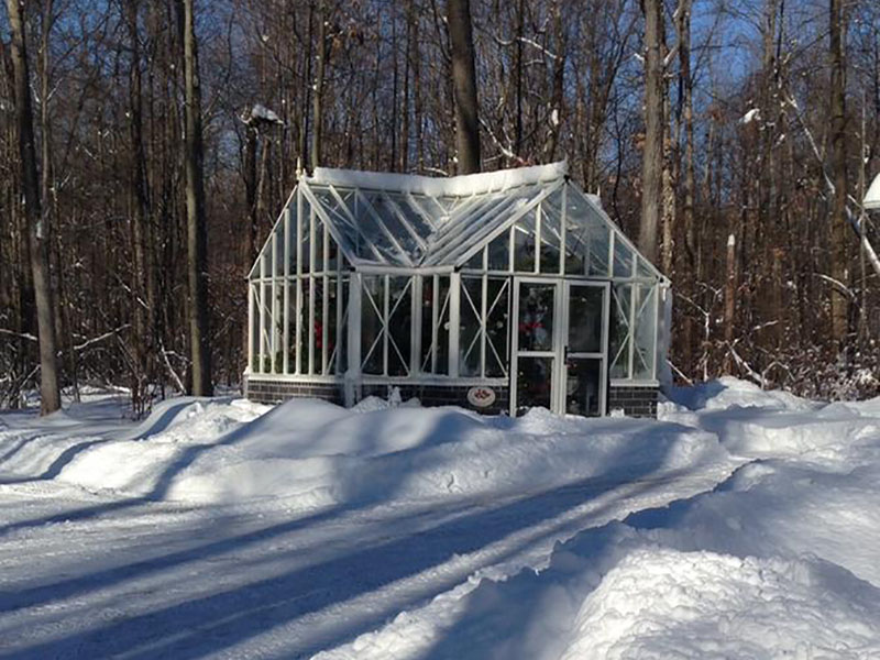 Massoud antique orangerie greenhouse 2