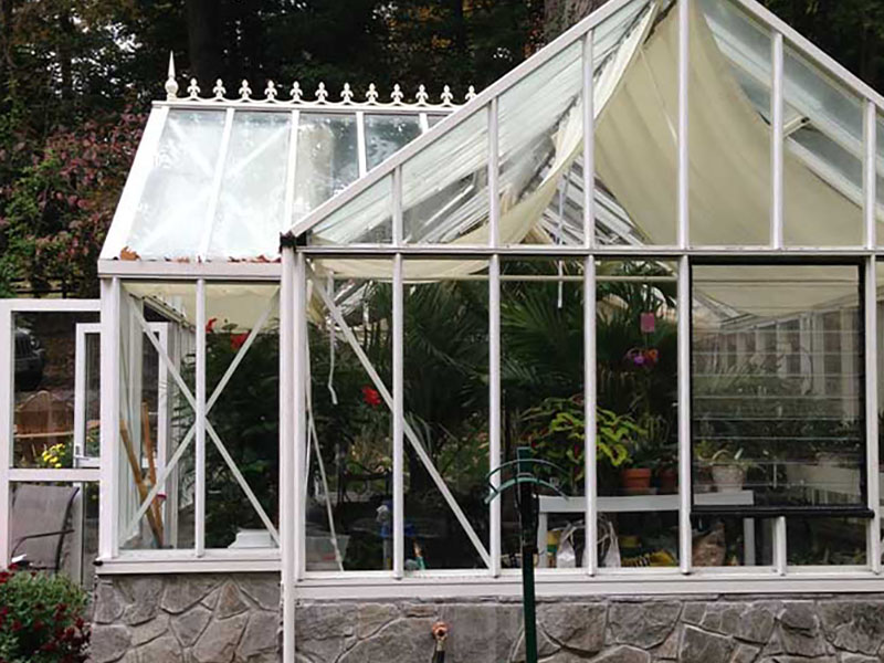 Evelyn antique orangerie greenhouse 6