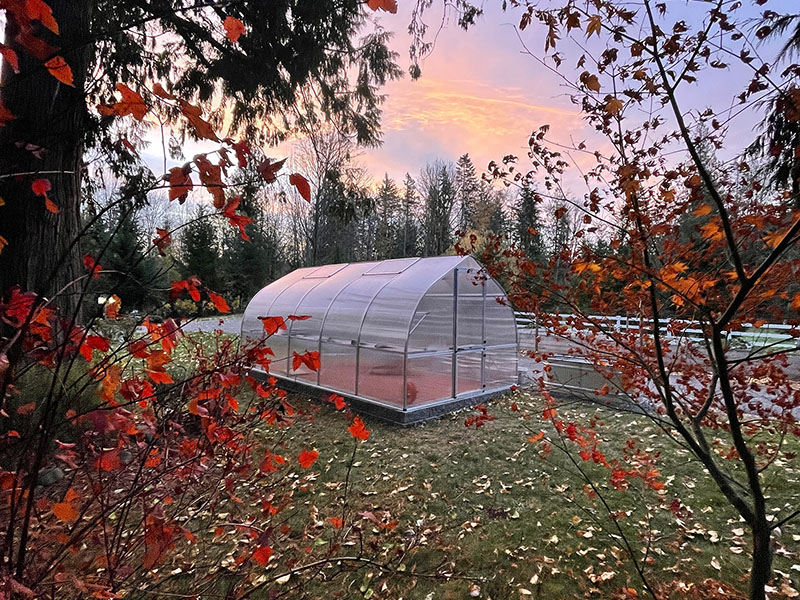 riga greenhouse - from Cathy & Brian Goodman