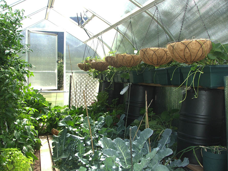 roga greenhouse