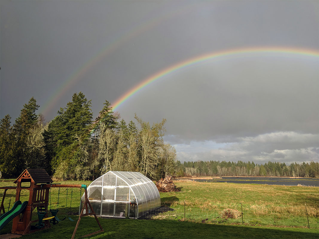 Fred and Suzi H riga xl-6 greenhouse