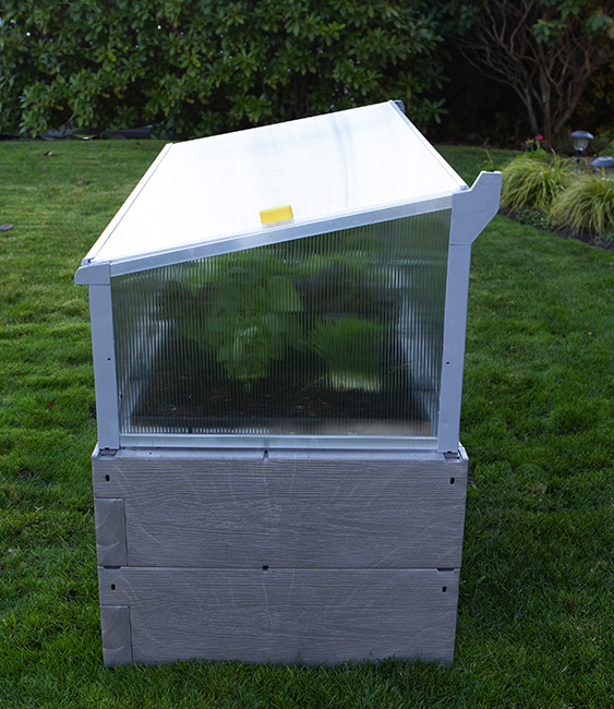 gray timber raised bed with cold frame side view