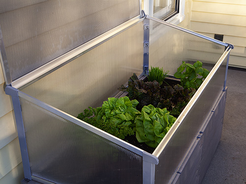 gray timber raised bed against house full open inner view