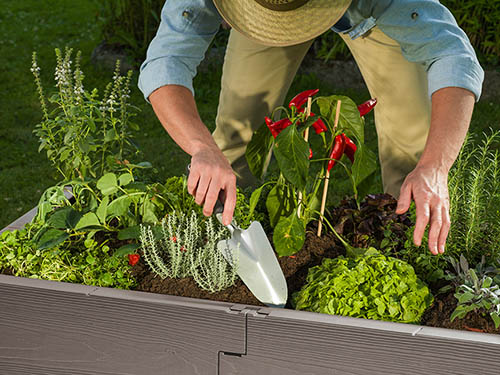 gray timber raised bed in action