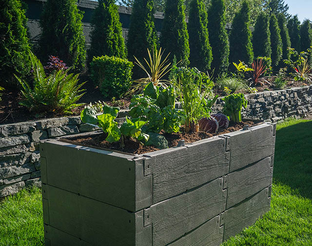 kombi - pic 4 combination raised bed cold frame