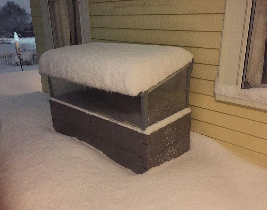 Timber Raised Bed Winter