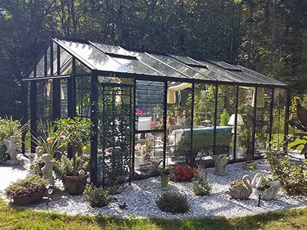 vi46 greenhouse from Ron and Lauri P.