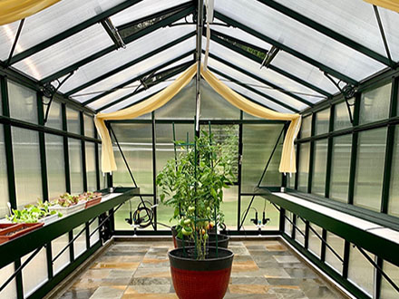 vi46 greenhouse