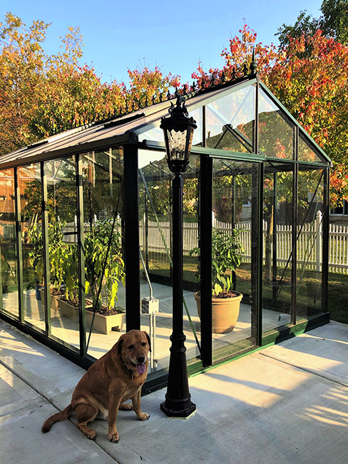  Customer Installation Victorian Greenhouse vi34