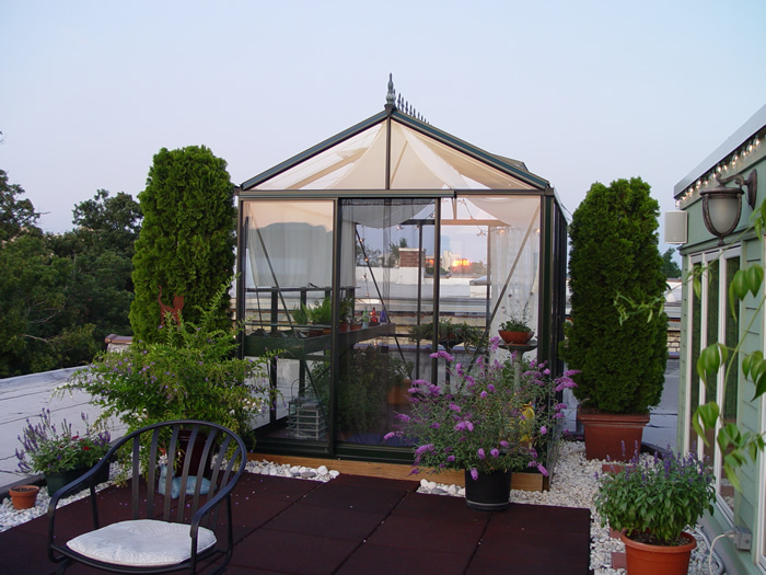 Victorian Greenhouse vi23