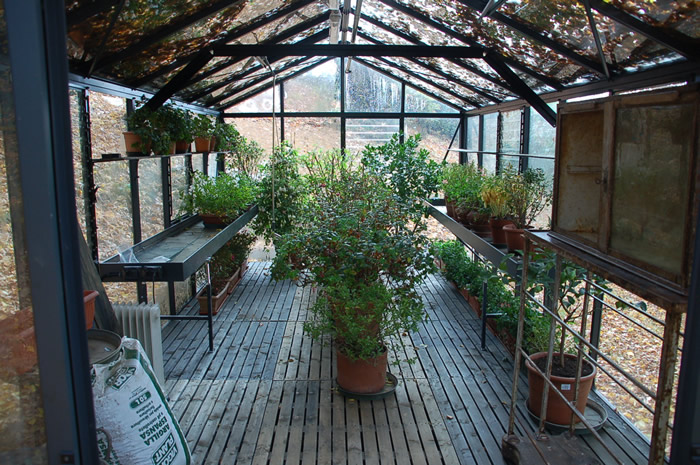 Victorian Greenhouse vi36