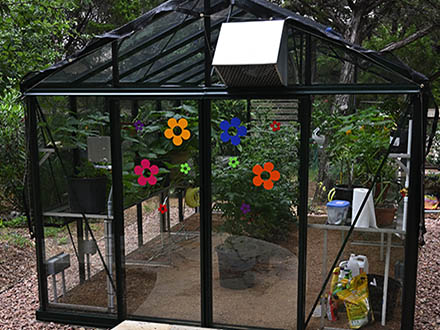 2 customer installation victorian greenhouse vi34
