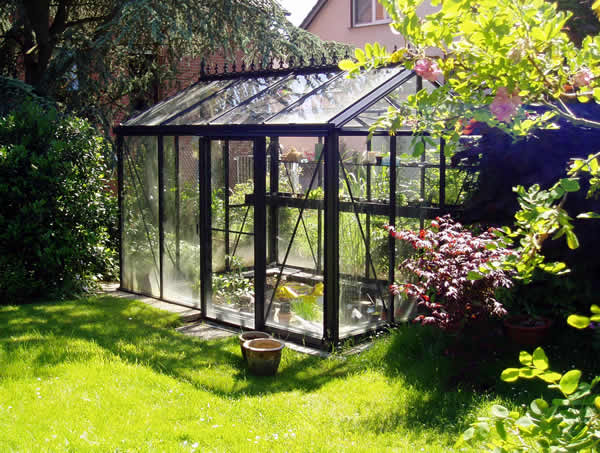 Victorian Greenhouse vi23