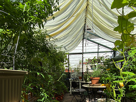 40 customer installation victorian greenhouse vi34