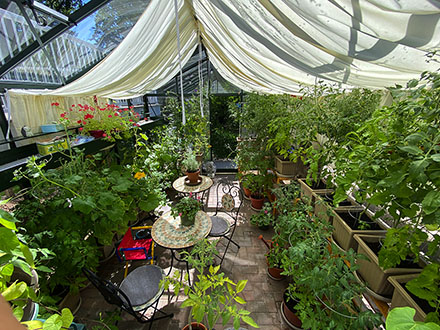 41 customer installation victorian greenhouse vi34