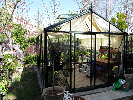 victorian greenhouse vi34