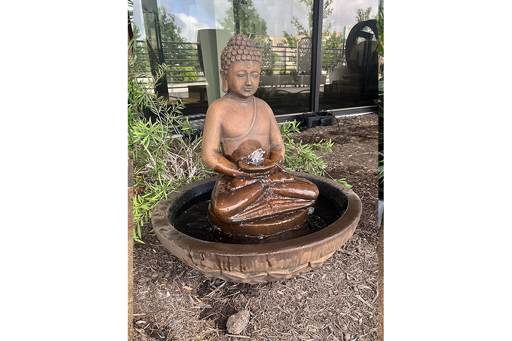 aquarius fountain
