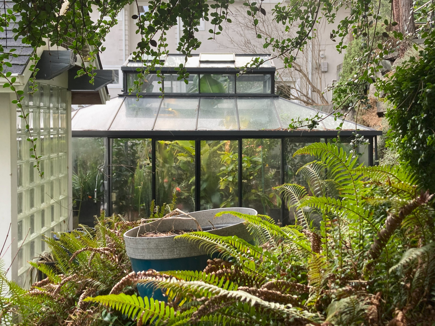 modern greenhouse