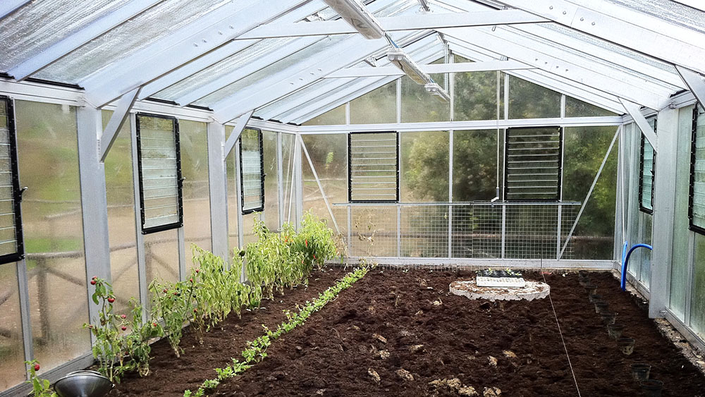 gigant greenhouse