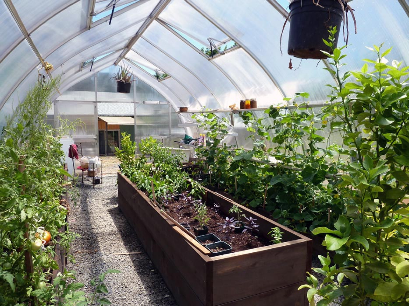 garden bed interiors in exaco greenhouses